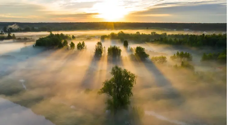 Brouillard, conduite et sécurité : mythes, réalités et astuces essentielles